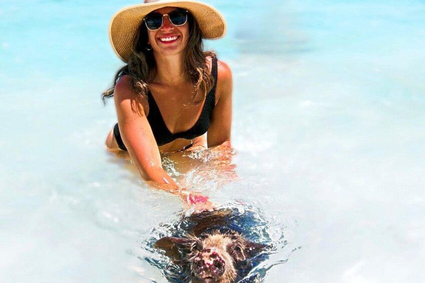 Nassau Swimming Pigs and Private Beach Club Escape 2