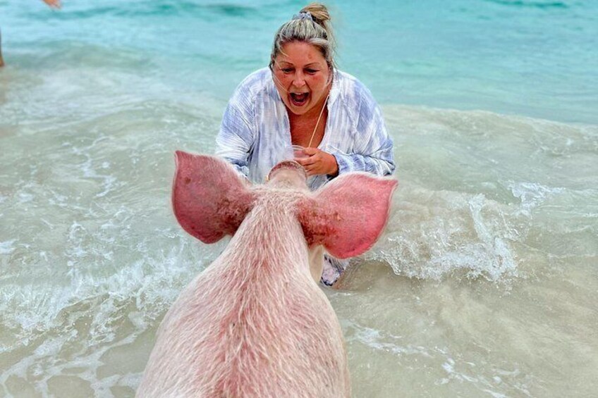 Nassau Swimming Pigs and Private Beach Club Escape 2