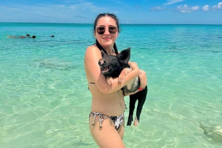 Share a sweet moment with our playful piglets in Rose Island’s crystal-clear waters — a memory you’ll cherish long after your toes leave the sand 1