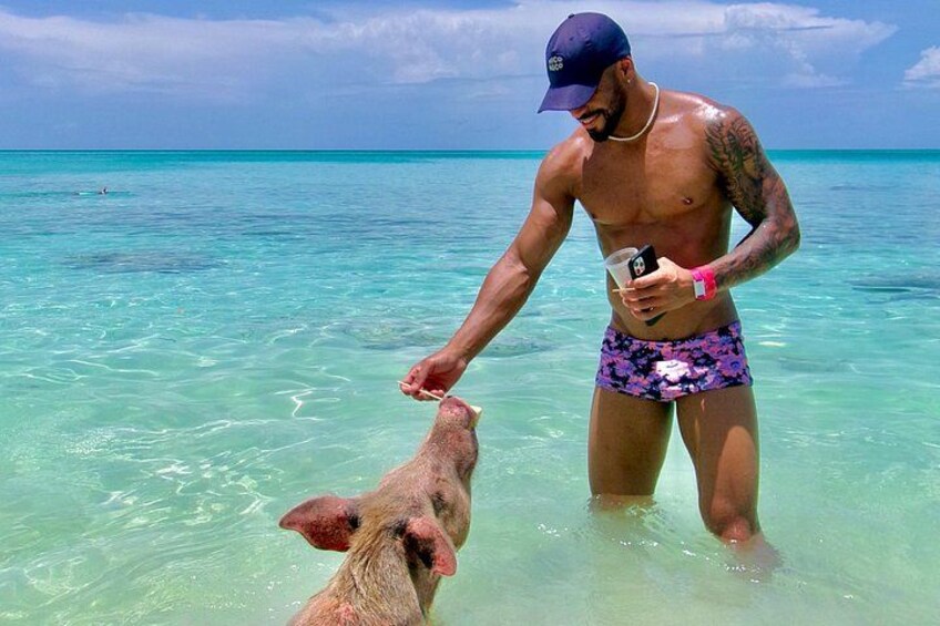 Nassau Swimming Pigs and Private Beach Club Escape 2