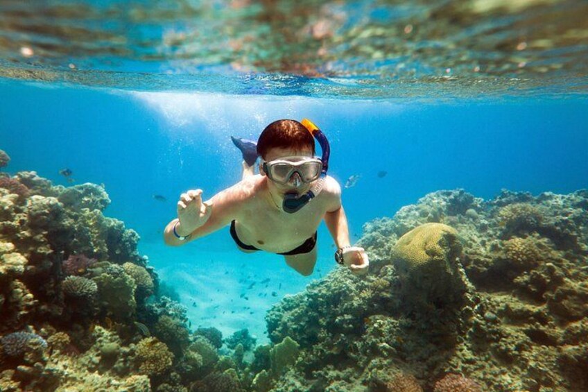 Iemand snorkelt onderwater tussen koraalriffen en zeeleven. 1