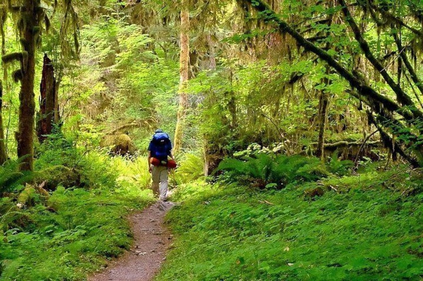6-Day Backpacking Summer Camp Adventure in Olympic National Park 4