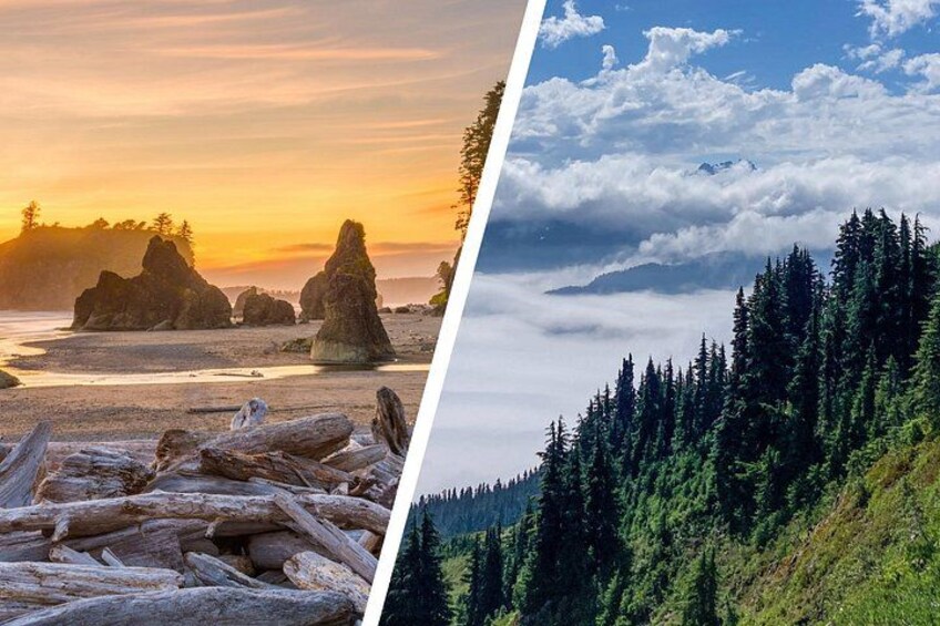 6-Day Backpacking Summer Camp Adventure in Olympic National Park 5