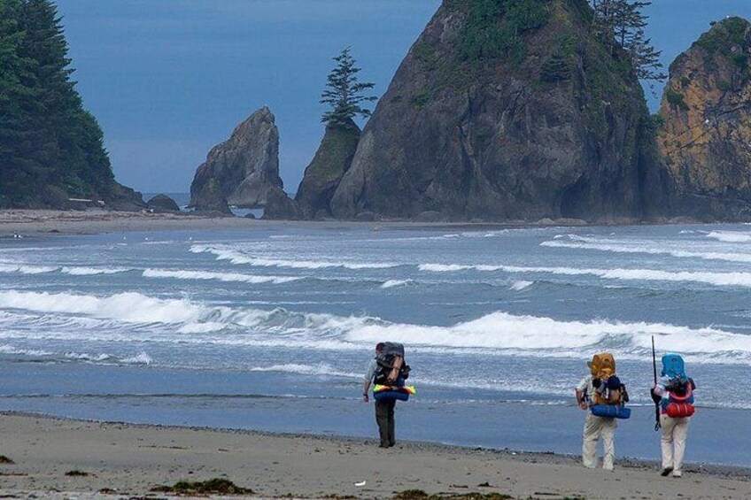 6-Day Backpacking Summer Camp Adventure in Olympic National Park 3