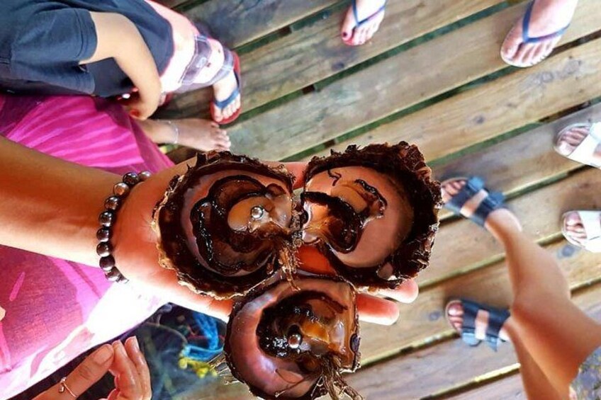 Authentic Polynesian Experience 2