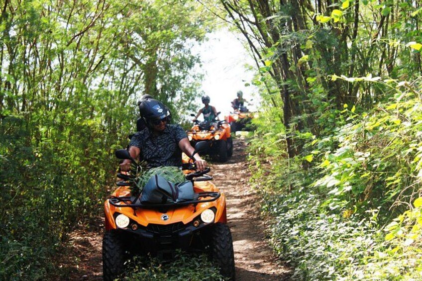 A person riding an orange ATV on a forest trail. 4