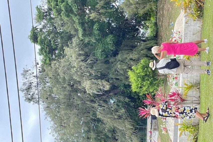 Flying Foxes Sanctuary @ Kolovai Village With Likutapu our Host 3