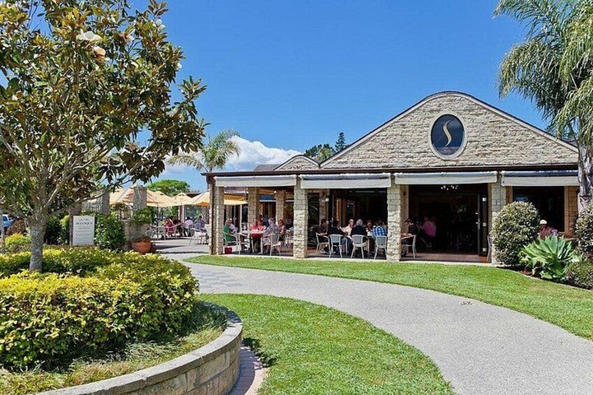 Explore West Auckland with Winery 3