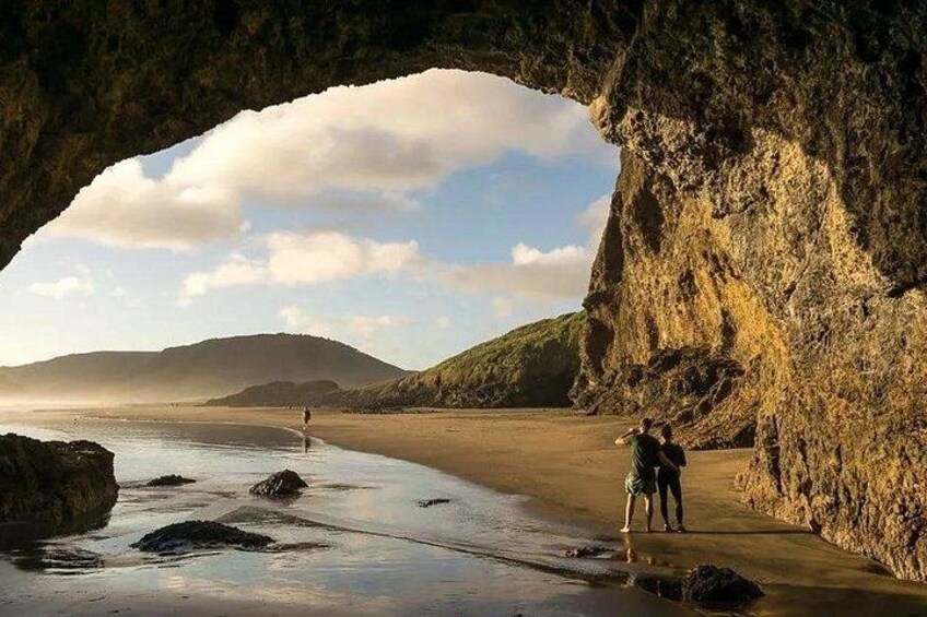 Explore West Auckland with Winery 1