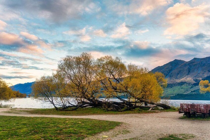 Half Day Queenstown to Glenorchy Private Photography Tour 2