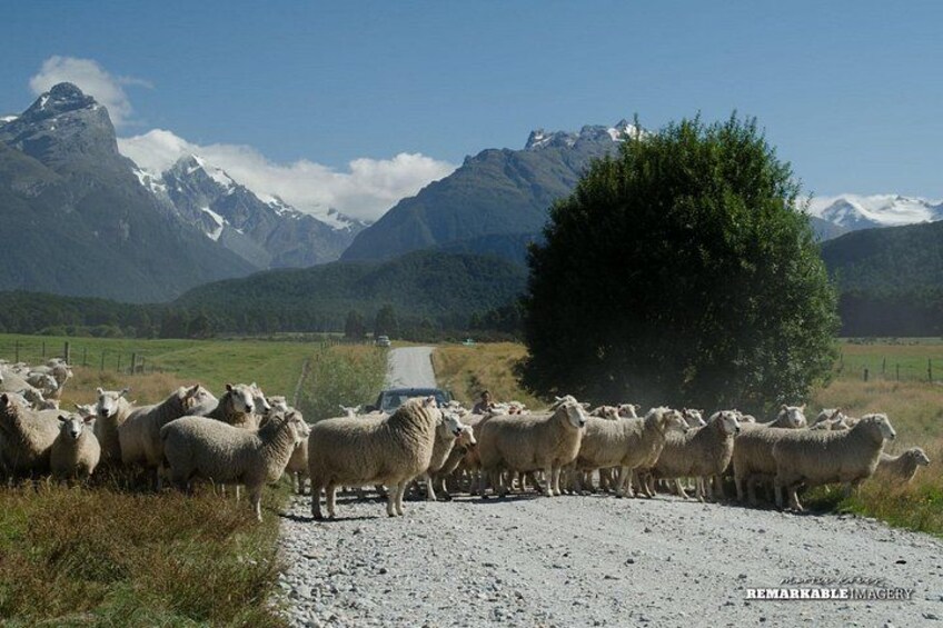 Half Day Queenstown to Glenorchy Private Photography Tour 5