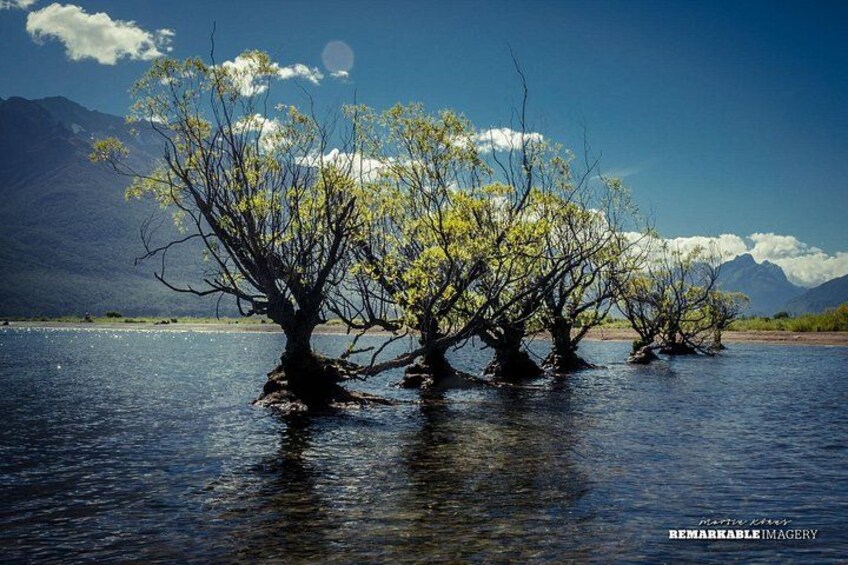 Half Day Queenstown to Glenorchy Private Photography Tour 4