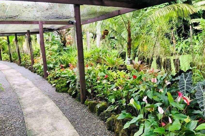 Garden of the Sleeping Giant 3