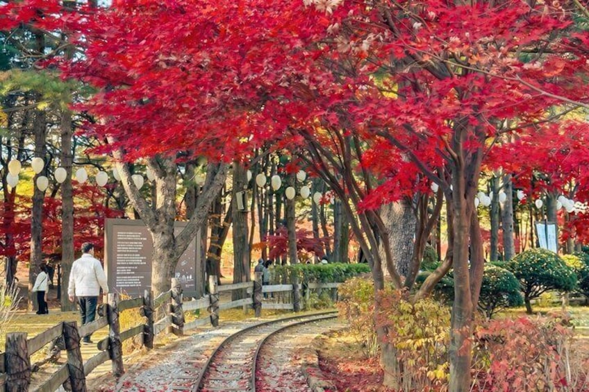 Un parque con árboles de hojas rojas, un sendero curvo y un cartel. 2