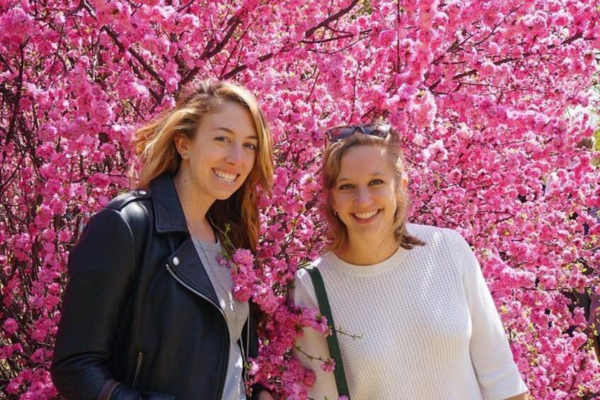 Deux personnes se tiennent devant un groupe dense de fleurs roses. 1