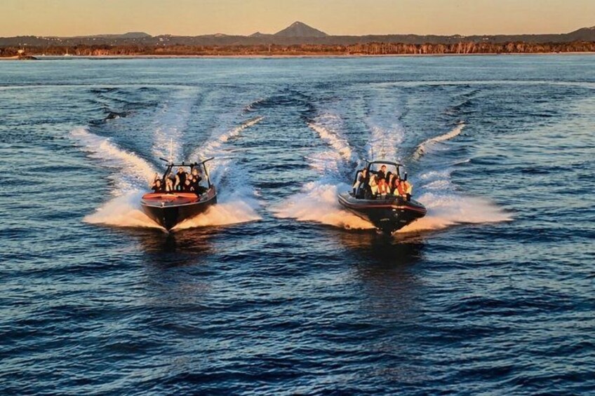 Noosa Ocean Adventures: Whale Watch 5
