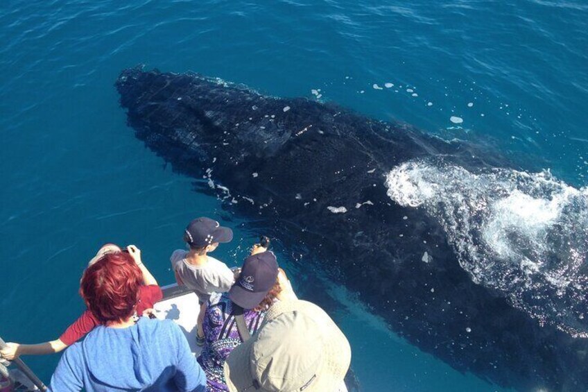 A group of people observing a whale breaching the water. 3