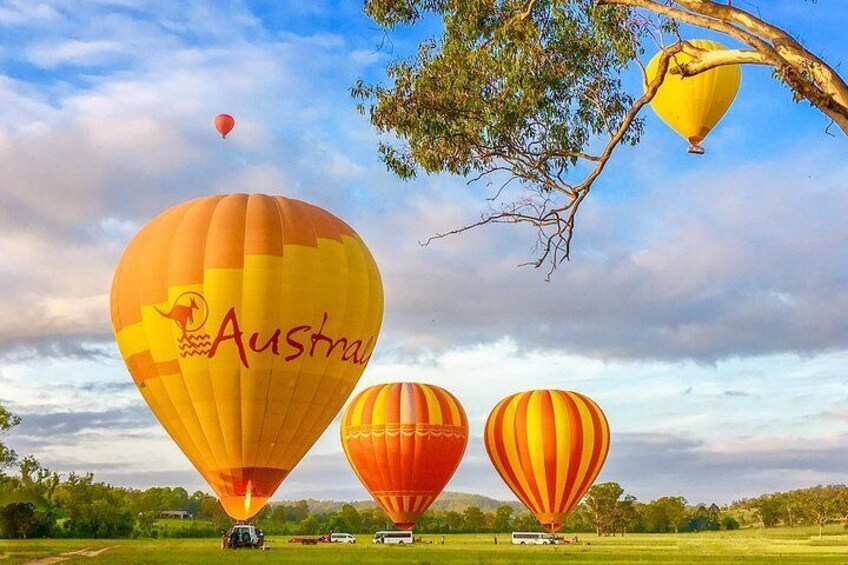 Hot Air Ballooning Brisbane including Canungra Vineyards breakfast