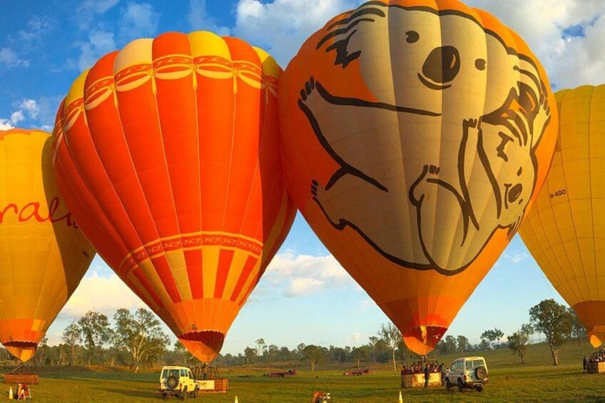 Hot Air Balloon Flight Brisbane with Vineyard Breakfast 2