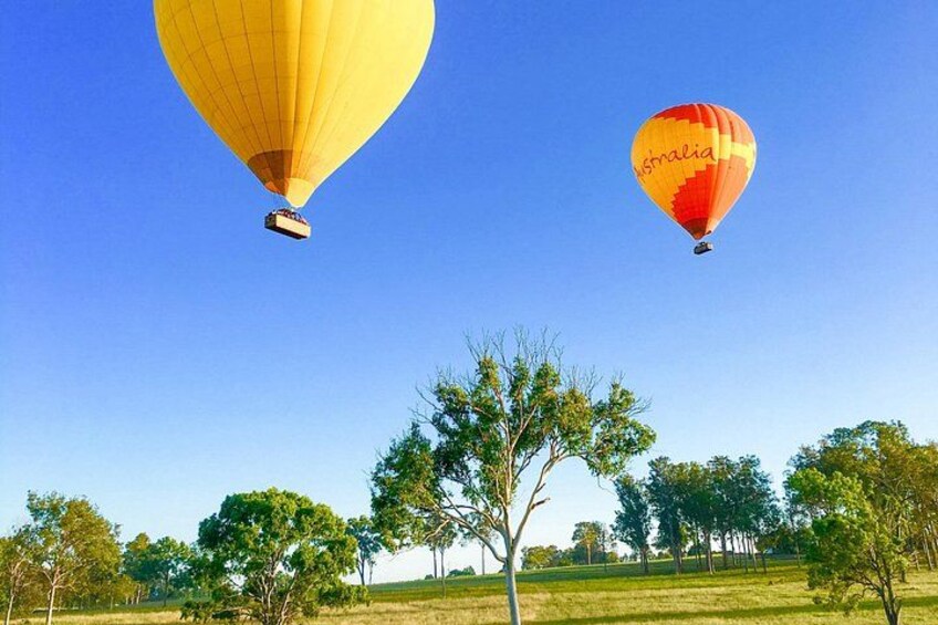Hot Air Balloon Flight Brisbane with Vineyard Breakfast 3