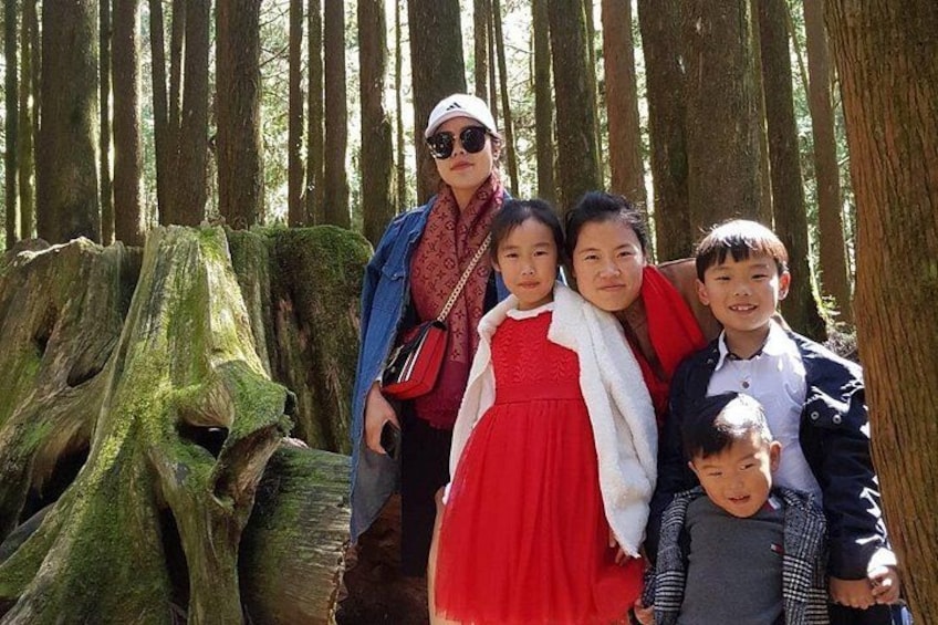 A family in a forest with tall trees and a large fallen tree trunk. 3