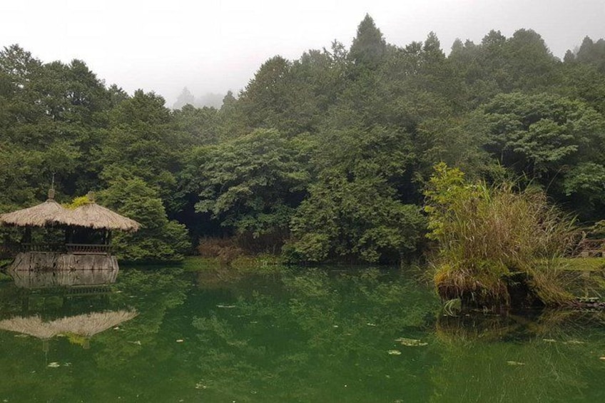 A tranquil lake surrounded by dense forest, a small wooden structure, and a large tree in the foreground. 5