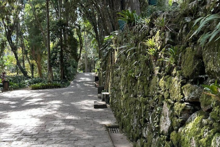 Tasting tour in Petropolis. Imperial City 5