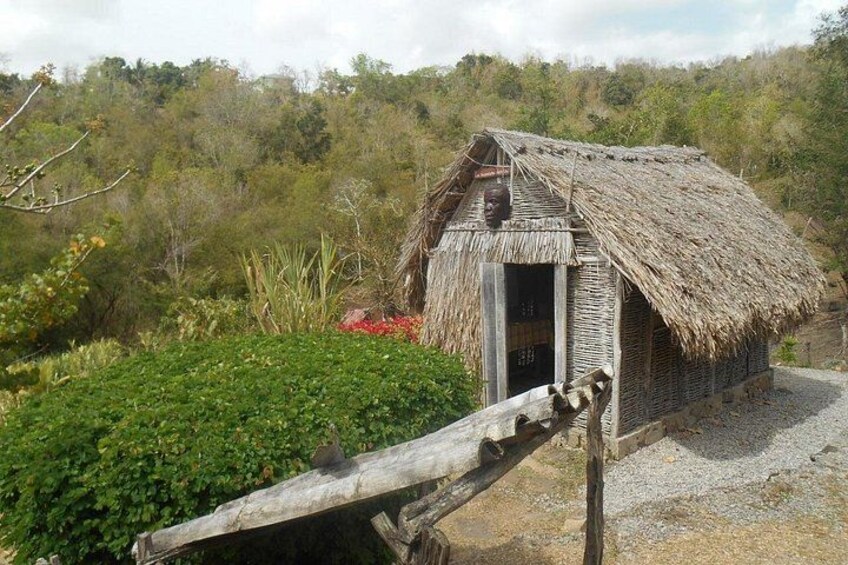 Savannah of the Slaves 5