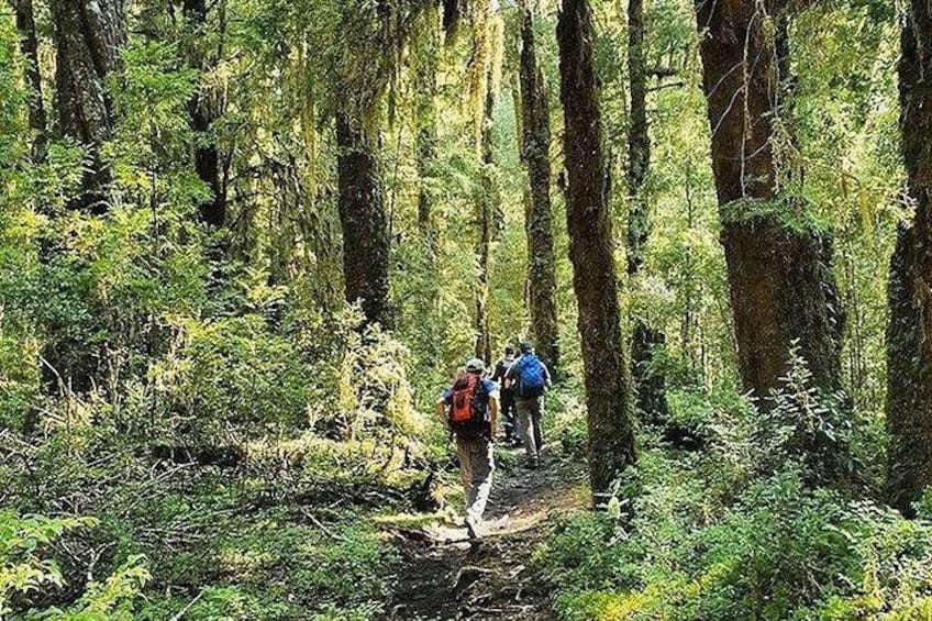 4-Day Puerto Varas & Osorno Volcano with Hotel, Tours & Transfers 4
