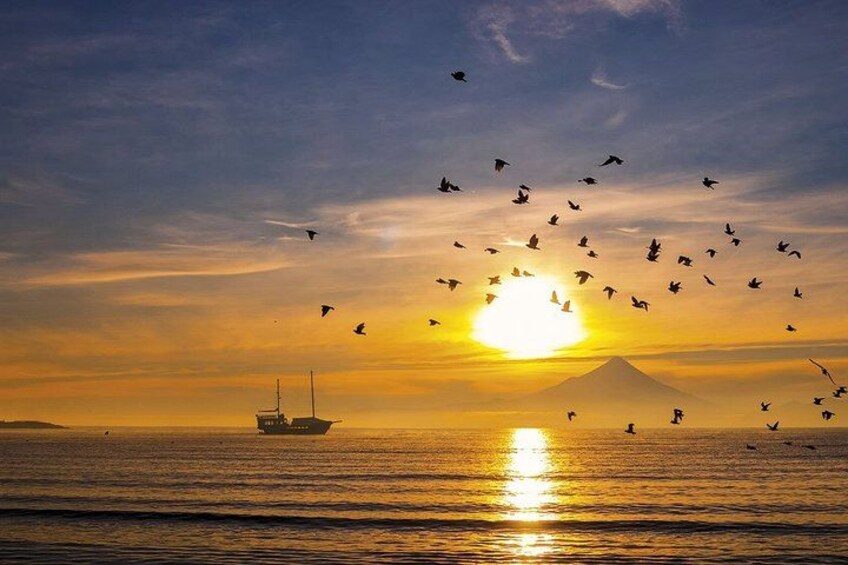 A sunset over the ocean with a ship and birds flying. 2