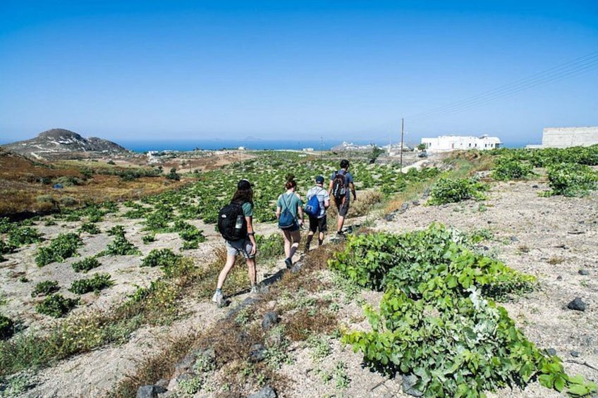 Un groupe de randonneurs sur un sentier de terre, avec une végétation clairsemée, un ciel dégagé et des bâtiments visibles au loin. 1