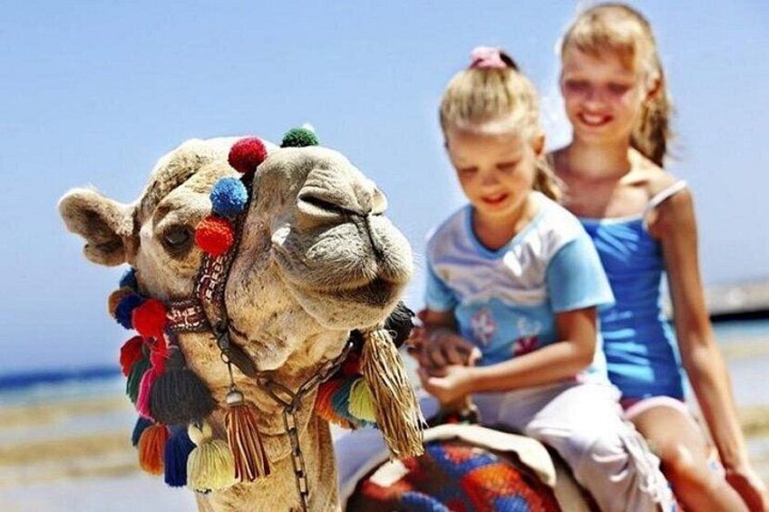 luxury 4 Hour Private Tour of Tangier 2