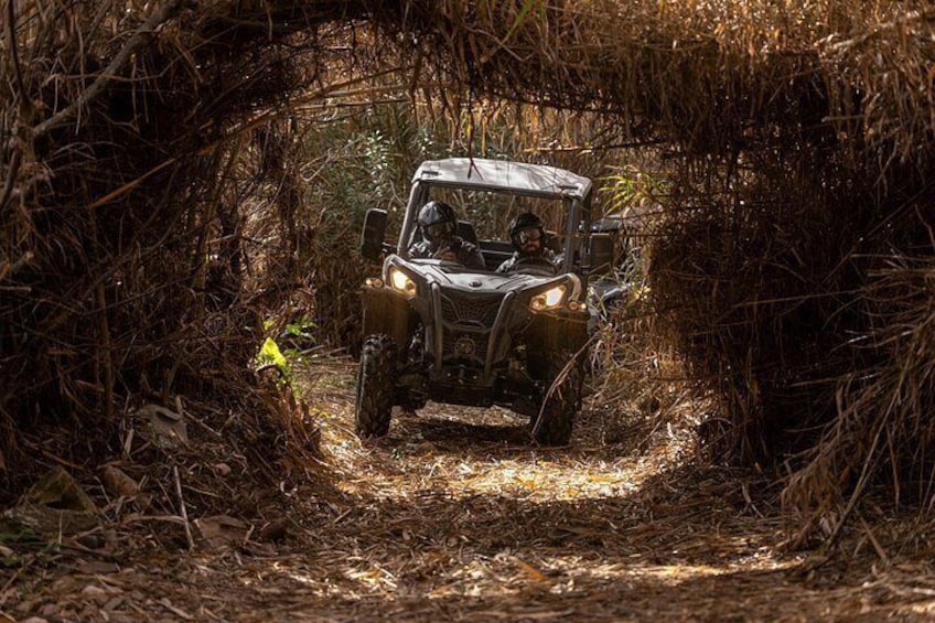 Porto Buggy Adventure: Guided Tour to Ruins and Typical Village 2