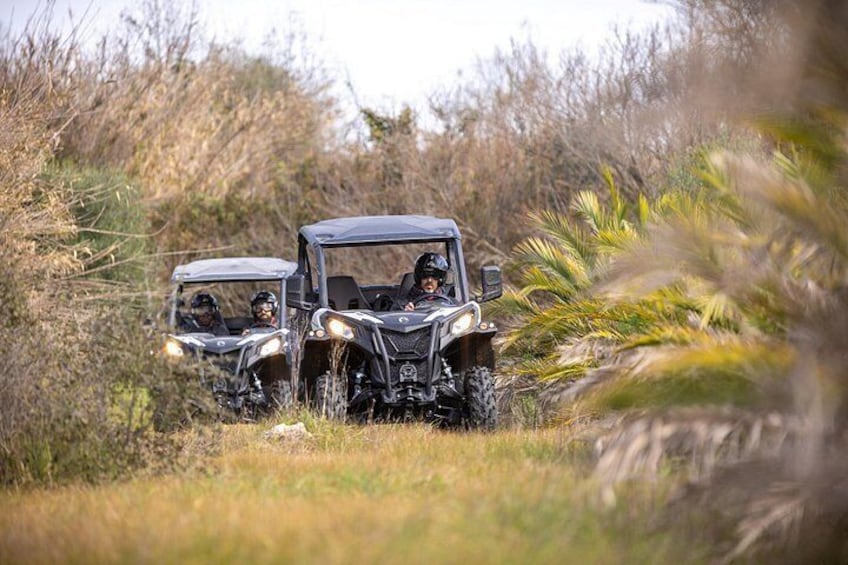 Porto Buggy Adventure: Guided Tour to Ruins and Typical Village 3