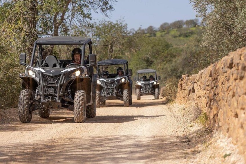 Porto Buggy Adventure: Guided Tour to Ruins and Typical Village 4