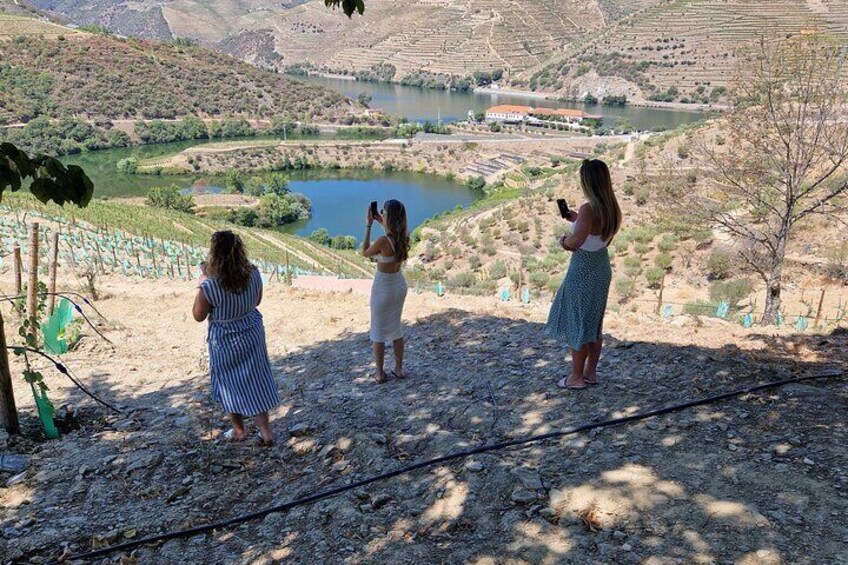 From Porto Private Tour Douro Valley two Wineries, Lunch and Boat.