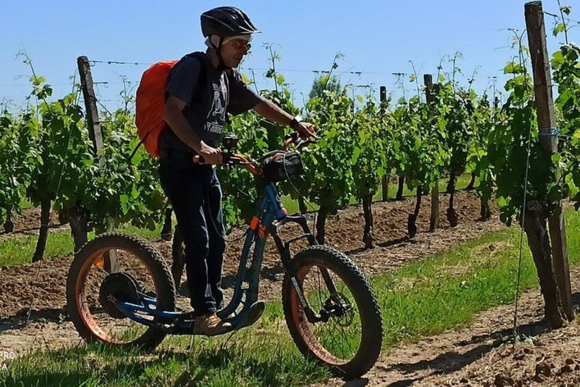 3h hike in the vineyards 1