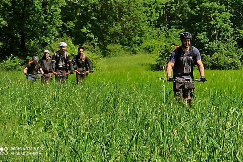 3h hike through fields 5