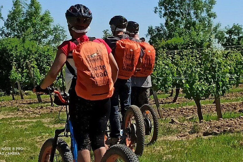 3h hike in Monbazillac 4