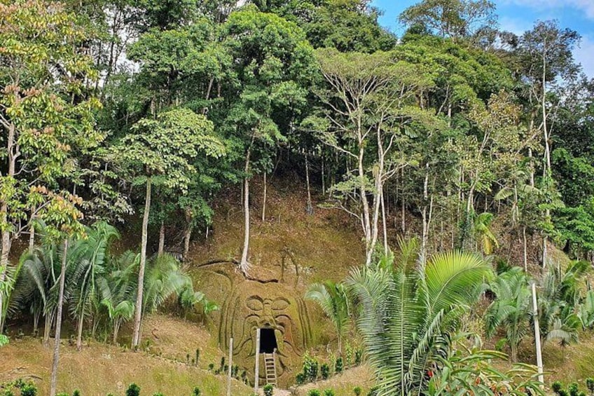 Tours un Dia en la Selva | Amazon Rainforest Tours Full Day 2