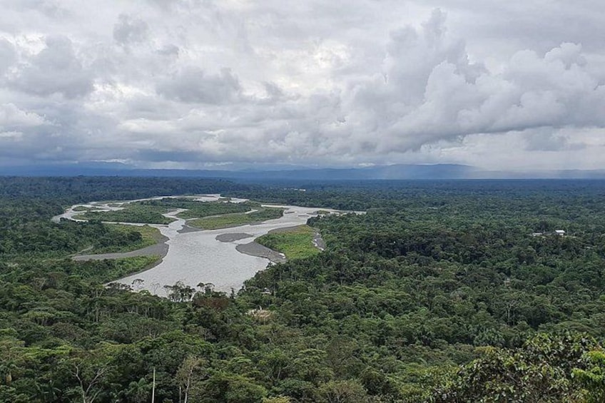 Tours un Dia en la Selva | Amazon Rainforest Tours Full Day 4