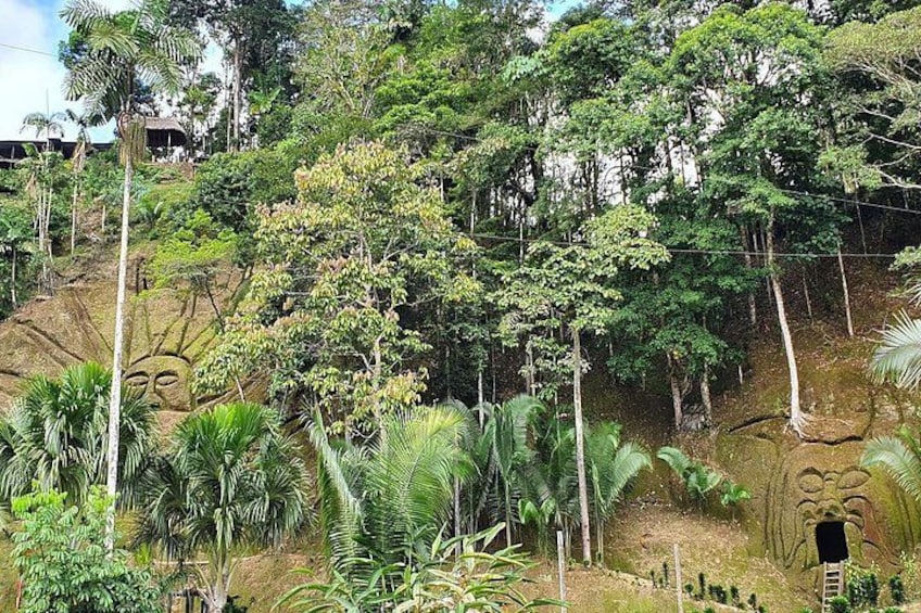 Tours un Dia en la Selva | Amazon Rainforest Tours Full Day 3