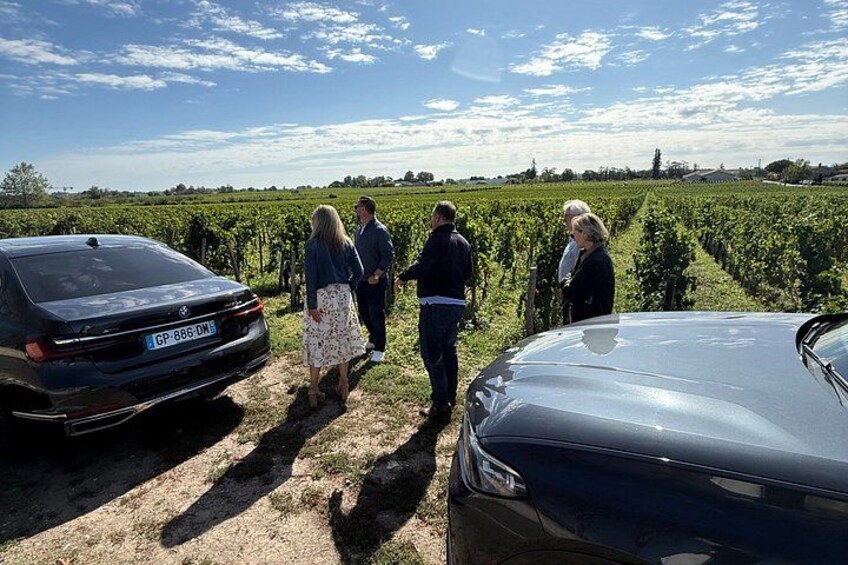 A vineyard with rows of grapevines, a black car, and a group of people standing and walking. 4