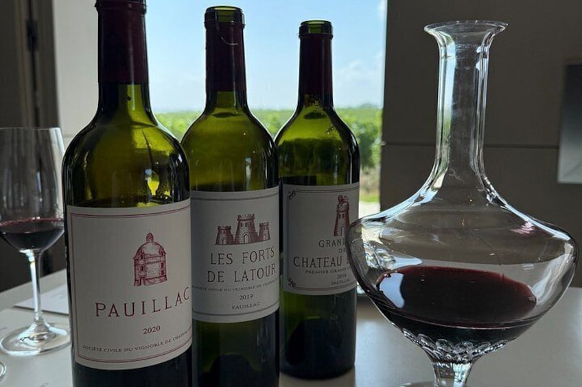 Private day tour in the Médoc (Premium Sedan) 2