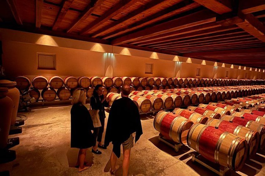 Private day tour in the Médoc (Premium Sedan) 3