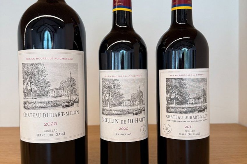 Private day tour in the Médoc (Premium Sedan) 2