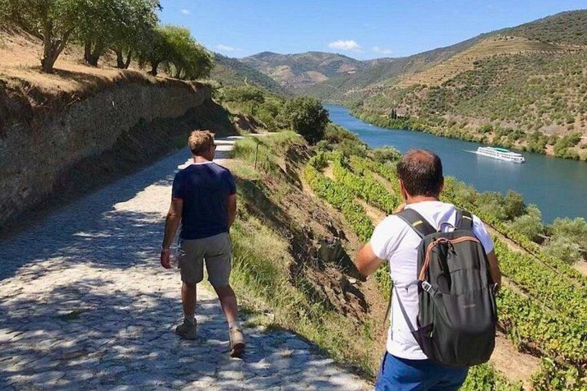 Douro Valley Hiking Tour & Picnic Lunch 1