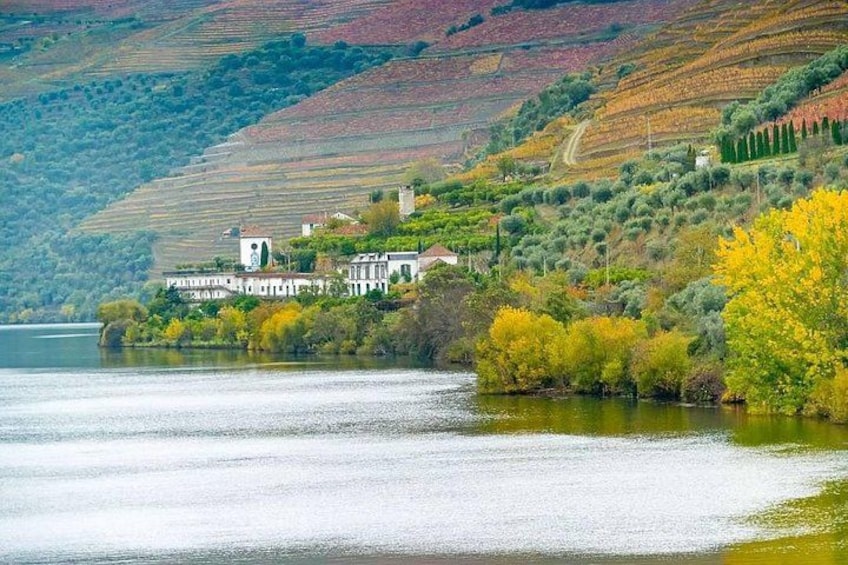 Douro Valley Hiking Tour & Picnic Lunch 2
