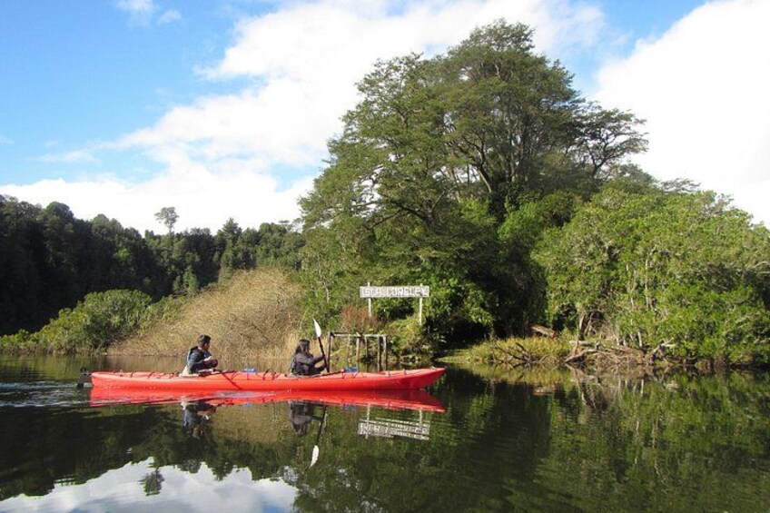 Kayak Laguna La Poza 1/2 day 5
