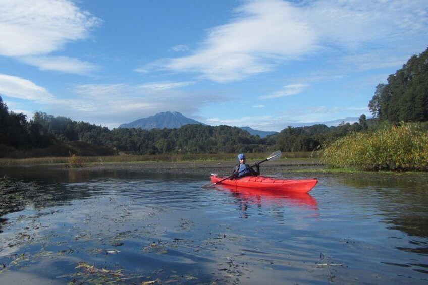 Kayak Laguna La Poza 1/2 day